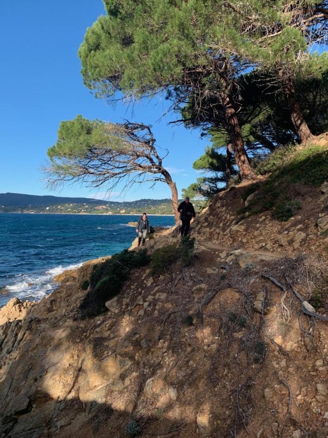 L'Aile Du Chateau Ramatuelle Exteriér fotografie